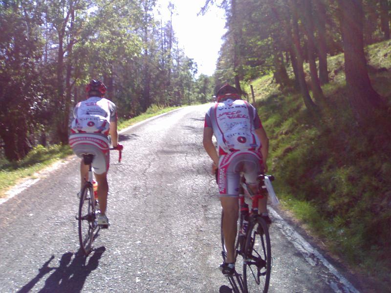 015_inizio bosco navette.jpg